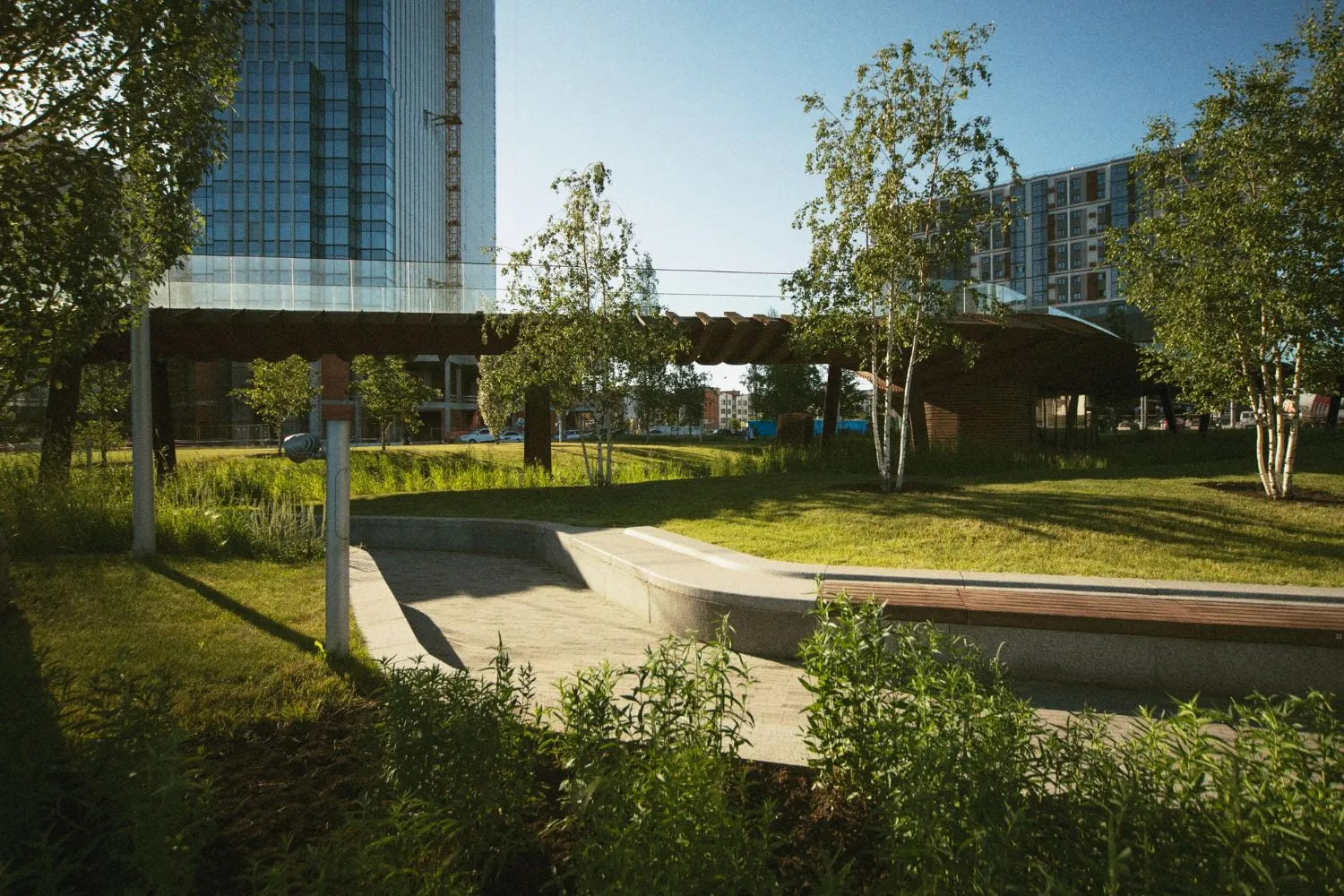 Ein Park mit einem grossen Gebäude im Hintergrund und Bäumen im Vordergrund.