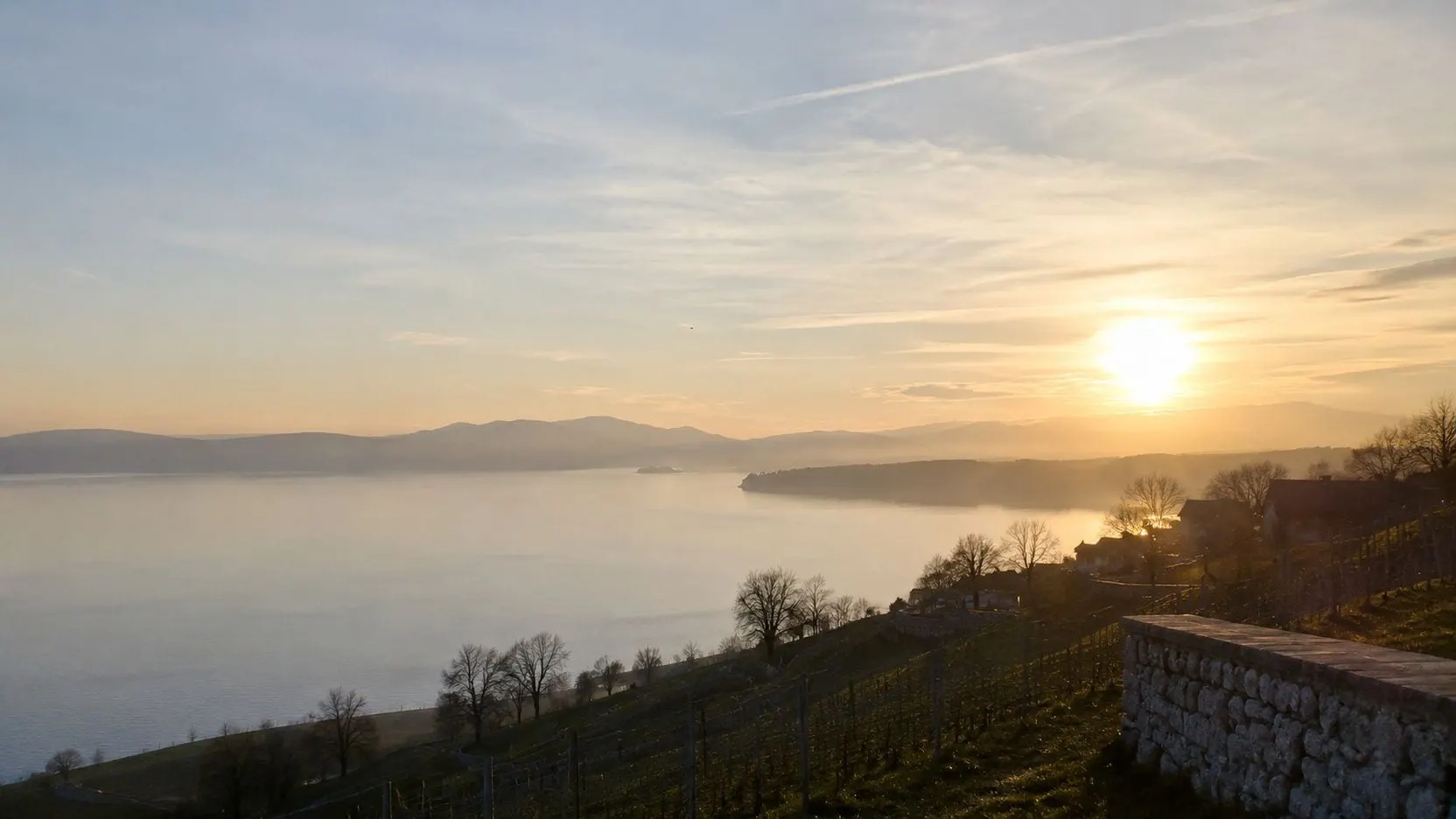 Abendsonne über dem Untersee, Blick vom Seerücken