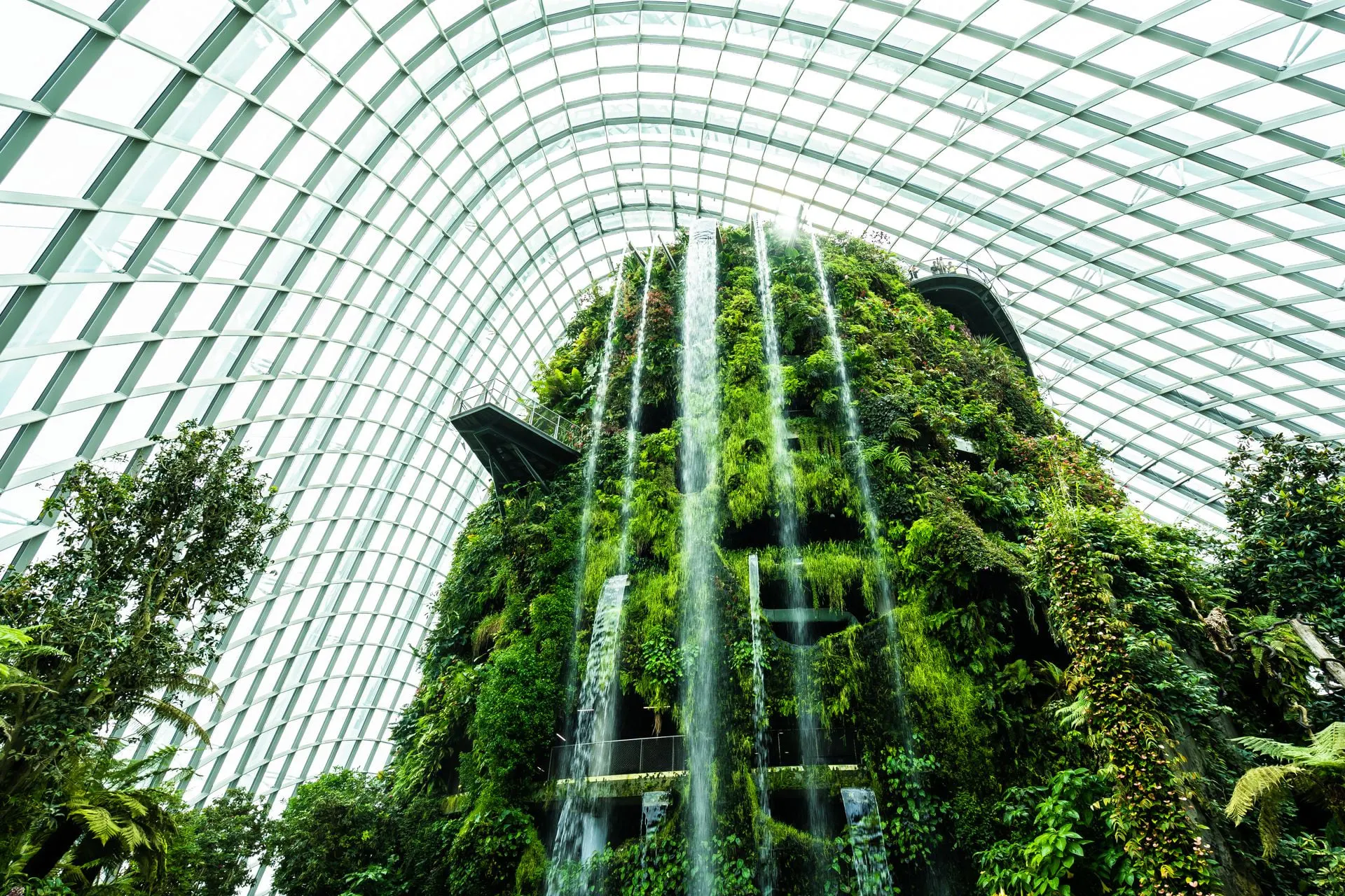 Blick nach oben auf einen Wasserfall in einem Gewächshaus.